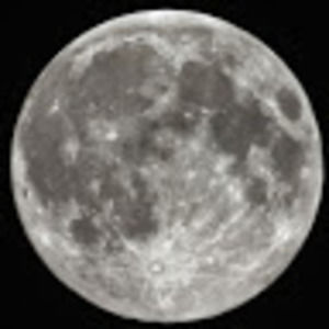 Meet your Posher, Brynn